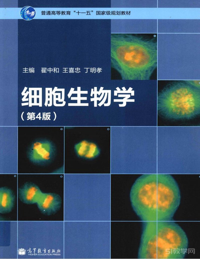 医药技术服务