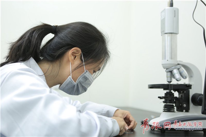 分子生物学：生命科学的微观世界